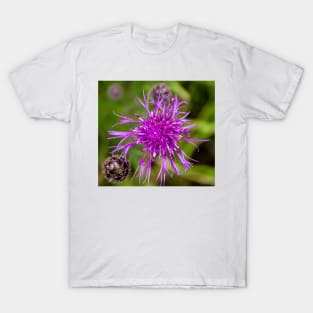 Purple mountain cornflower T-Shirt